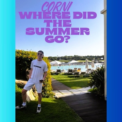 Where Did The Summer Go? - Single