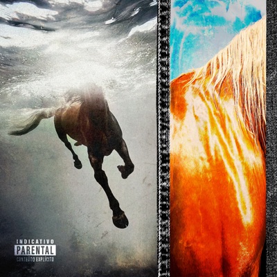 DINHEIRO COM TRAP (+$ Q O DJAVAN) - EP