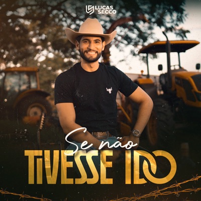 Se Não Tivesse Ido - Single