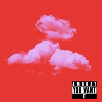 You want it - Single - Amoray