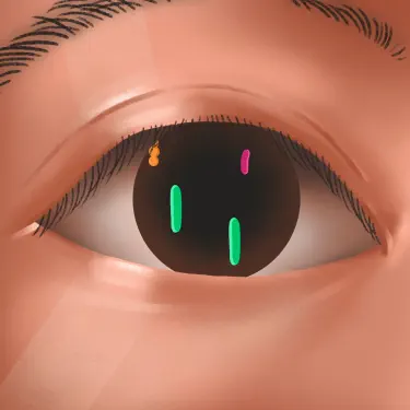 hello em có khỏe không (feat. myhoa & Tuann)