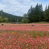 Soon... - Single - Chelo