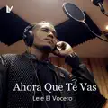 AHORA QUE TE VAS