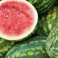 P***Y OUT - Single - DAN$kI