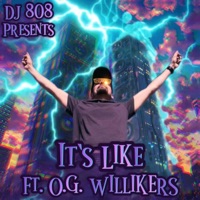 It's Like (feat. O.G. Willikers) - Single - DJ 808
