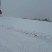 Kapeesh - Single - Armoniixd