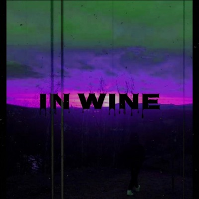 Ve víně (feat. Evelinn) - Single