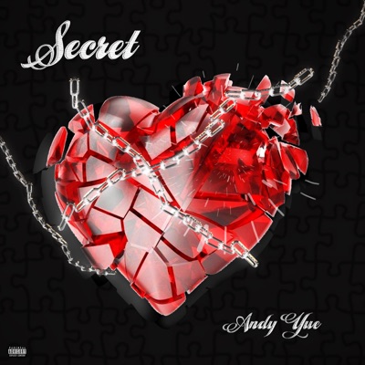 Secret 秘密 - Single