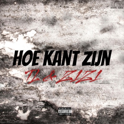 Hoe kant zijn (feat. TL) - Single