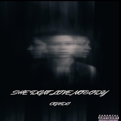 She Don't Love Nobody - Single