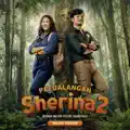 Mengenang Bintang