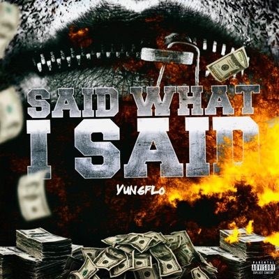 Said What I Said - Single