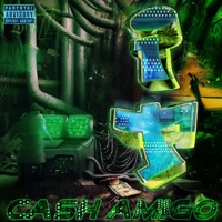 IT - Single - Cash Amigo