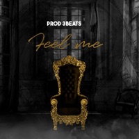 Feel Me - Single - Avagebe