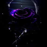 Adaline - Single - Civitas