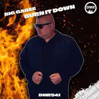 Burn It Down — Big Gabee