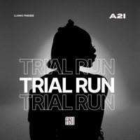 TRIAL RUN - Single - LLama Fine$$e