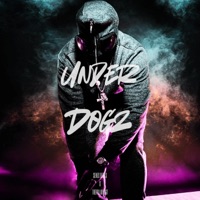 Under Dogz (feat. Senex Beats) - Single - thevillain267
