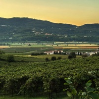 IHAC (feat. Bdr!ppyy) - Single - Wright.P0