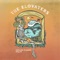 Castaway (feat. Drapht) [Drapht Version] - The Elovaters lyrics