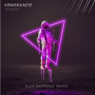 Vengeance (Alex Raimond Remix) - Single
