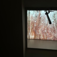 REGEN - Single - luk.dontdieforyou