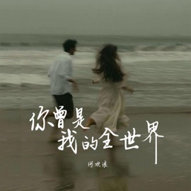 你曾是我的全世界 (伴奏) 何欢浪