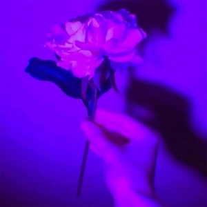 lotus - Single