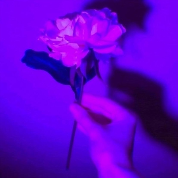 lotus - Single