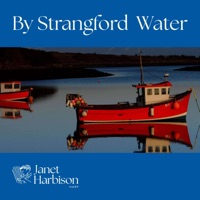 By Strangford Water by Janet Harbison on Apple Music