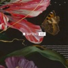 Scala (Vintage Culture Remix) by Agoria — cover art
