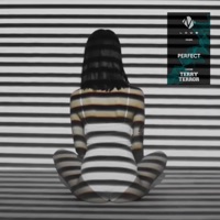 Perfect (feat. Terry) - Single - Bm Loud