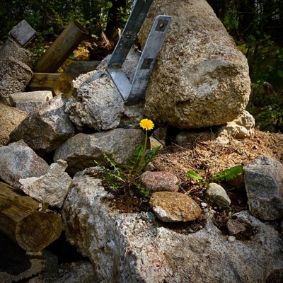 portrait of me//brilliance - Single