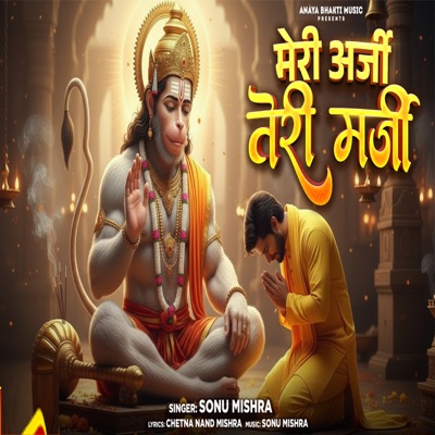 Meri Arji Teri Marji - Single