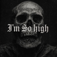 I'm So High (RMX) - Single - COSMOS5D