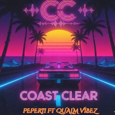 Cc (feat. QUALM VIBEZ) - Single