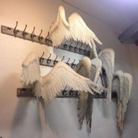 Pokédex - Single - Gasp