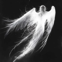 Slide Da Envolvente 2.0 - Single - nashi