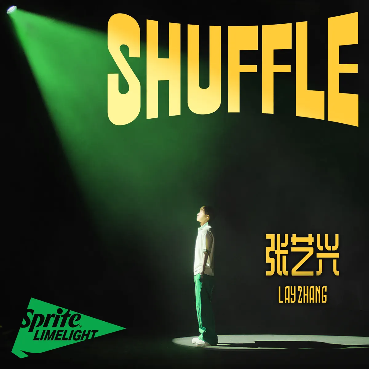 張藝興 - SHUFFLE - Single (2024) [iTunes Plus AAC M4A]-新房子