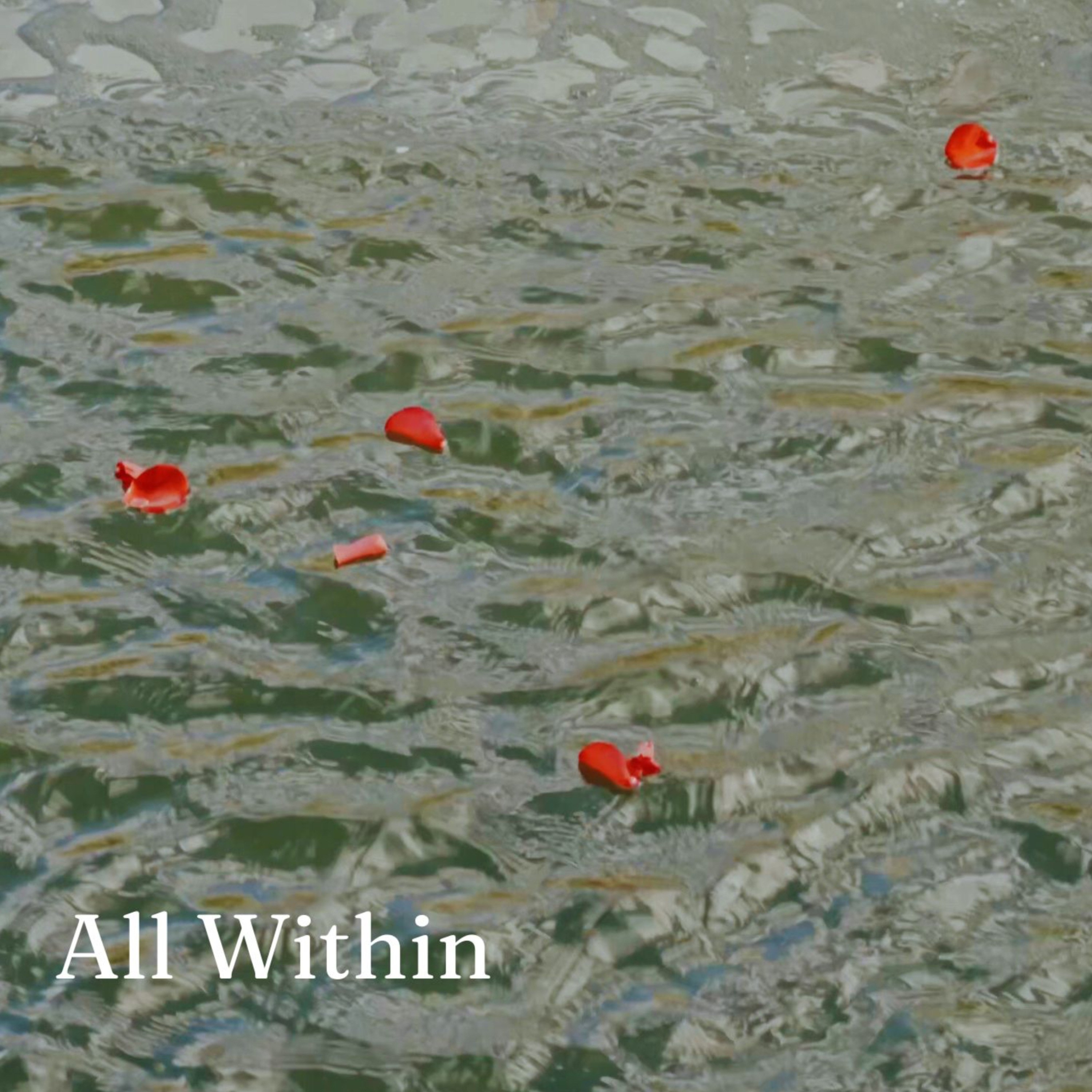 All Within - Single