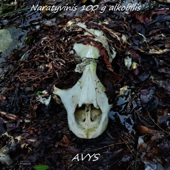 AVYS song art