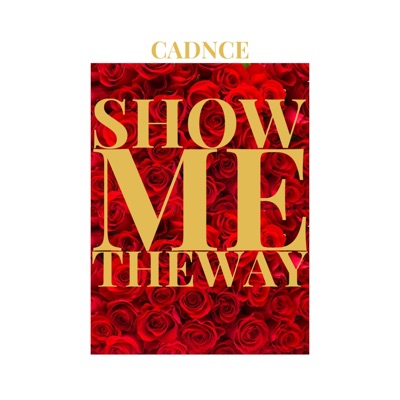 ShowMEtheWay - Single