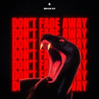 Don't Fade Away - Single - Shavi