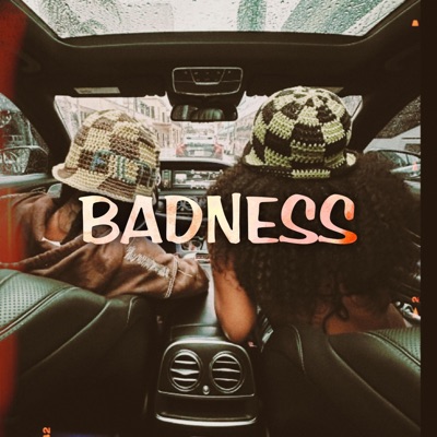 Song - BADNESS (Fanz ReMixZ) - Motbb Vibes