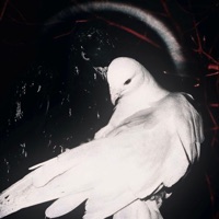 dice - Single - 1yuki
