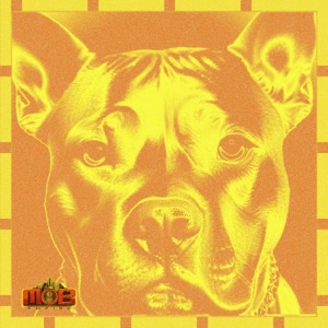 PITBULL