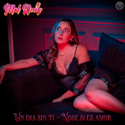 Un Día Sin Ti / No Se Si Es Amor - Single