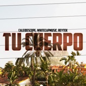 Tu Cuerpo artwork