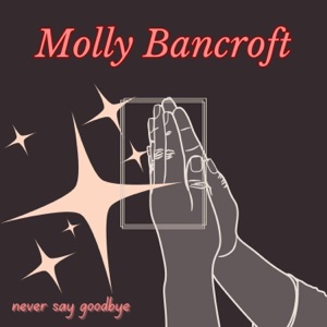 Never Say Goodbye - Single