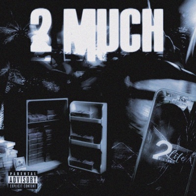 2 Much (feat. SyncoTL) - Single